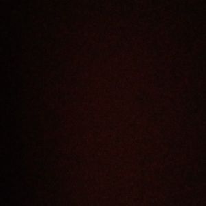 Meet your Posher, Ava